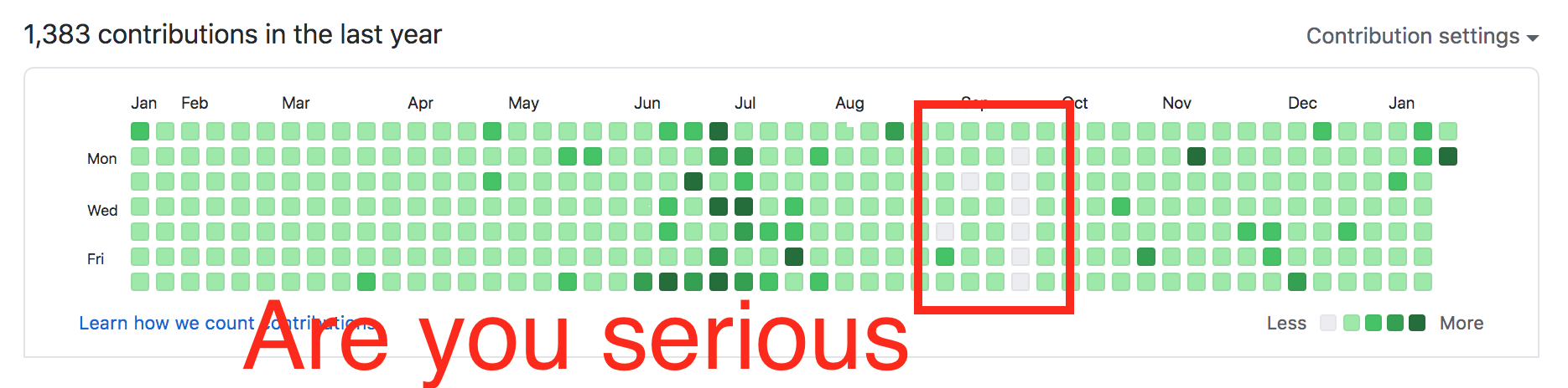 Github "every day" commits, sure